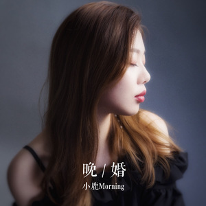 中国少妇做爱视频
